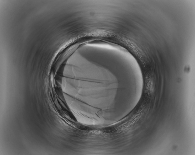 X0000098190392200805151210