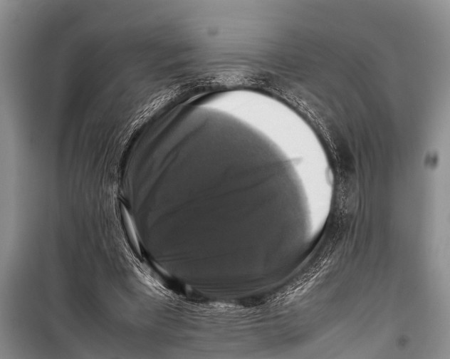 X0000098190393200805151210