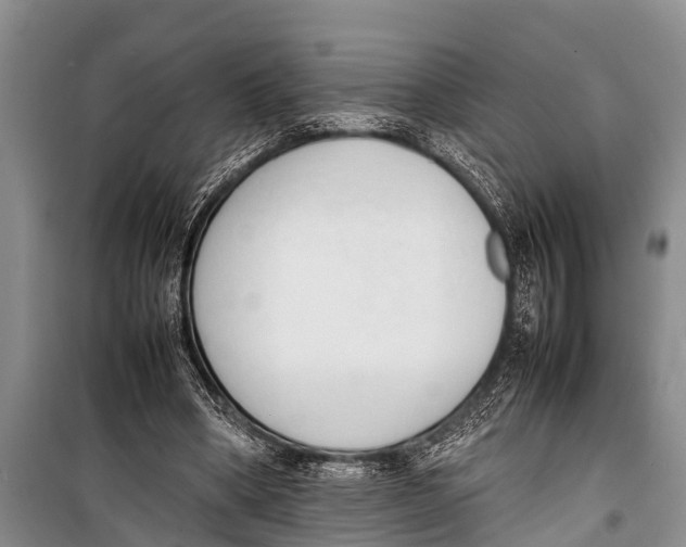 X0000098190394200805151210