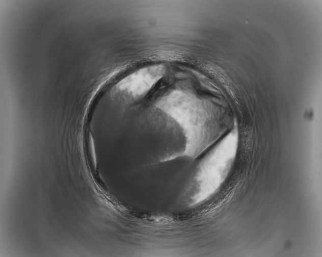 X0000098190395200805151210