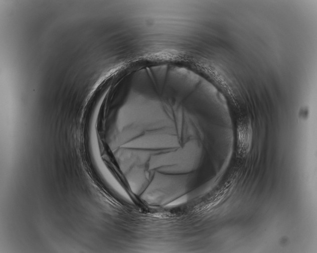 X0000098190396200805151210