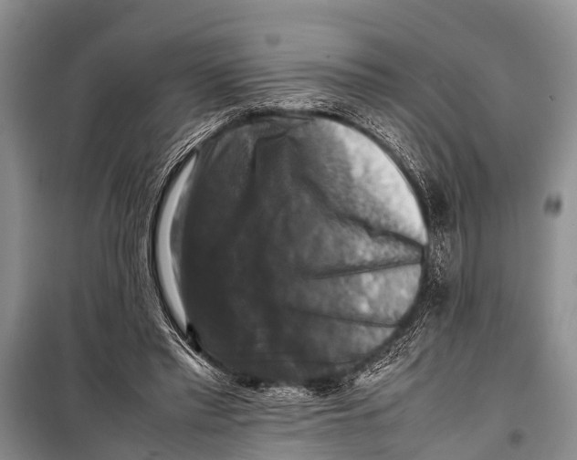 X0000098190397200805151210