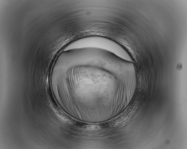 X0000098190398200805151210