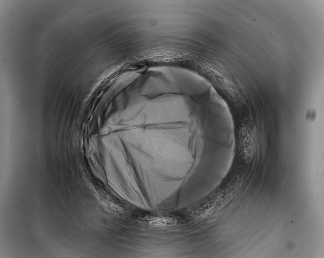 X0000098190400200805151210