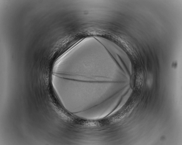 X0000098190402200805151210