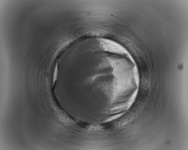 X0000098190403200805151210