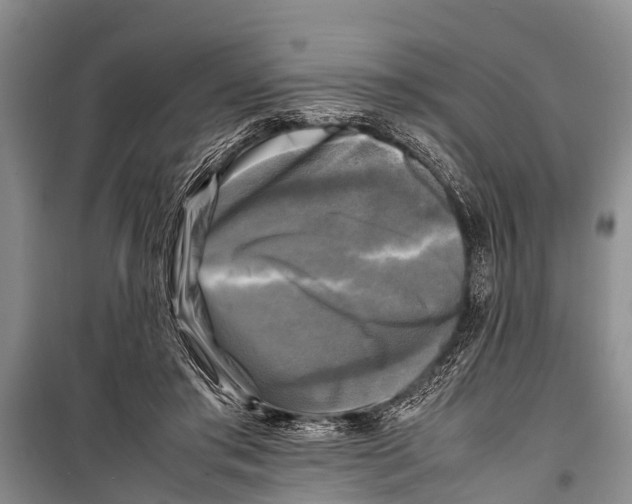 X0000098190405200805151210
