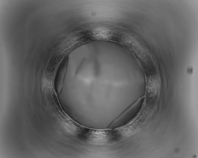 X0000098190409200805151210
