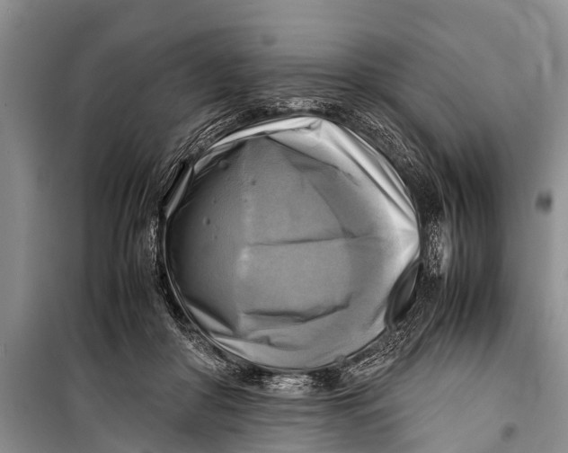 X0000098190410200805151210