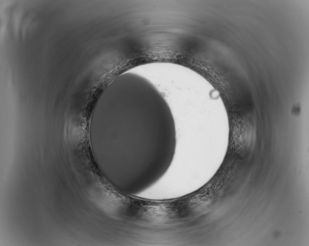 X0000098190411200805151210