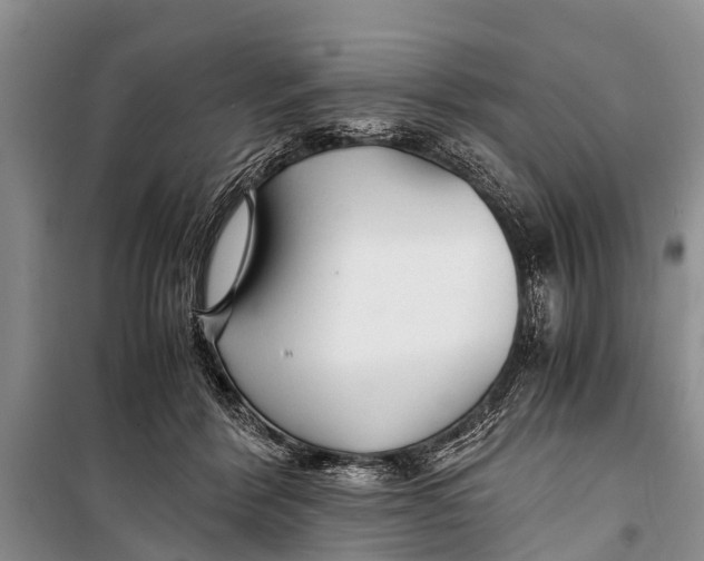 X0000098190412200805151210