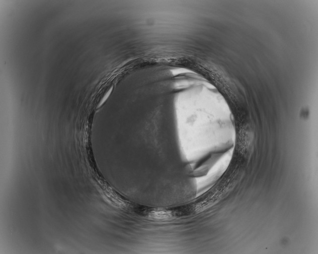 X0000098190413200805151210