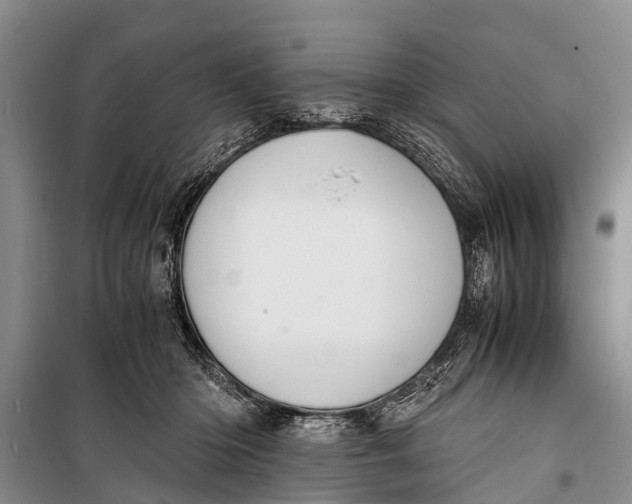 X0000098190414200805151210