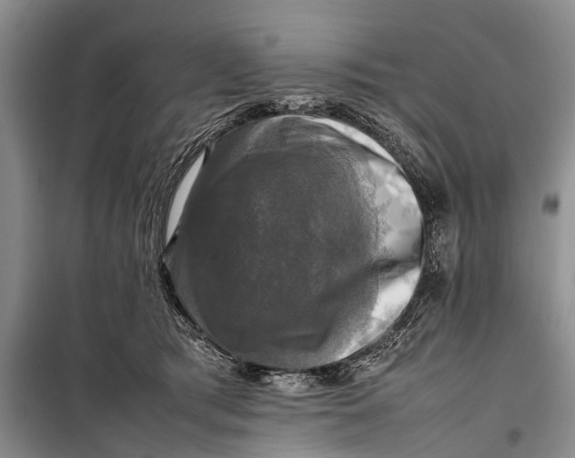 X0000098190417200805151209