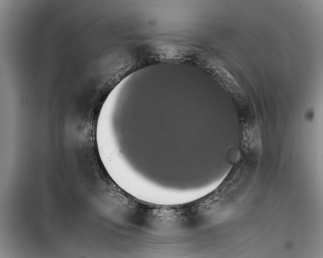 X0000098190419200805151209