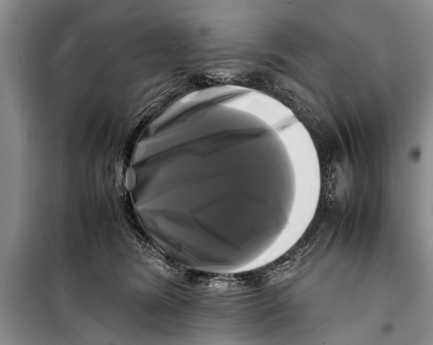 X0000098190420200805151209