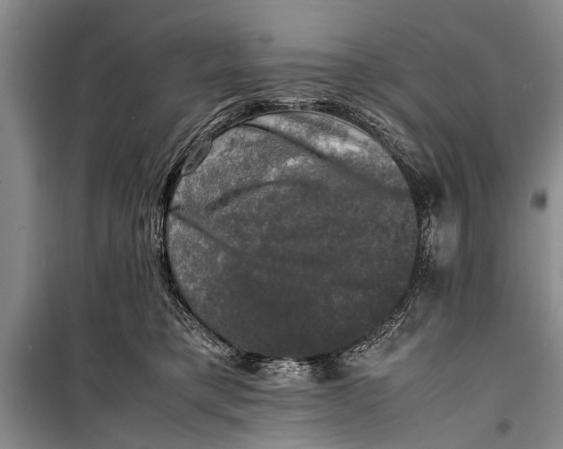 X0000098190421200805151209