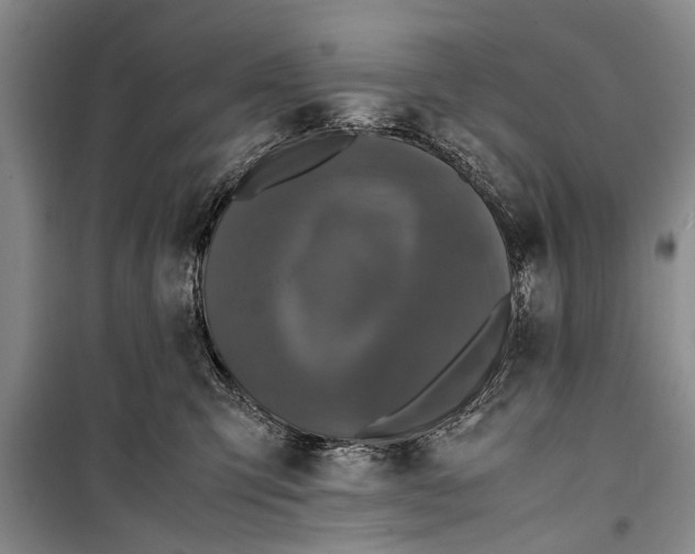 X0000098190423200805151209