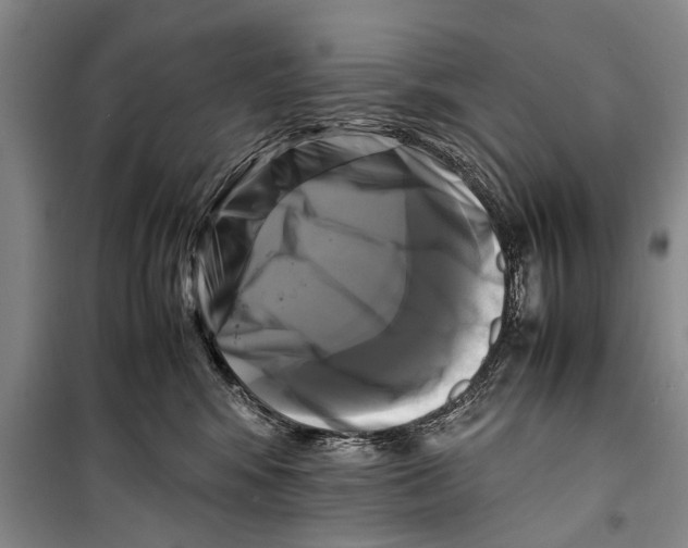 X0000098190424200805151209