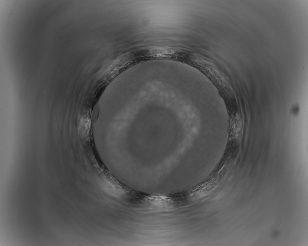 X0000098190427200805151209
