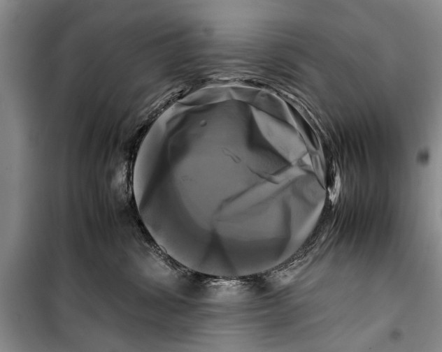 X0000098190428200805151209