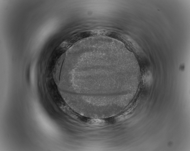 X0000098190429200805151209
