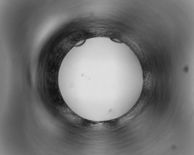 X0000098190430200805151209