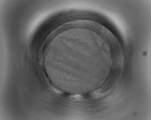 X0000098190431200805151209