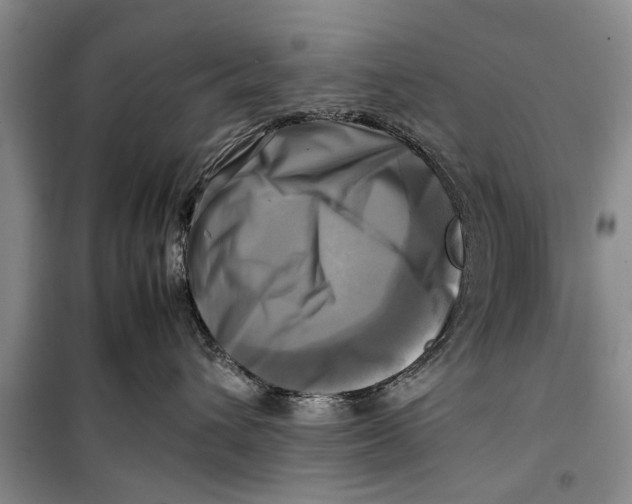 X0000098190432200805151209