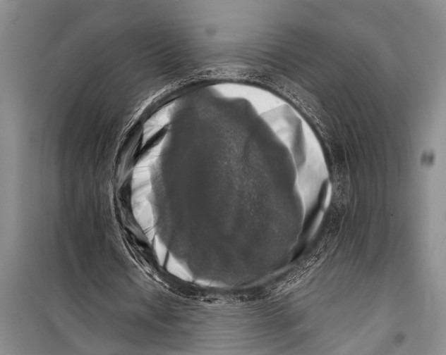 X0000098190434200805151208