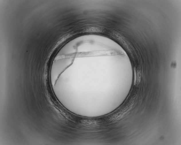 X0000098190435200805151208