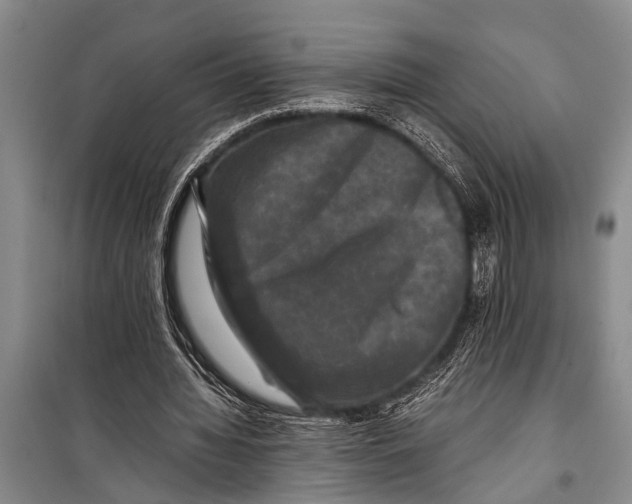 X0000098190436200805151208