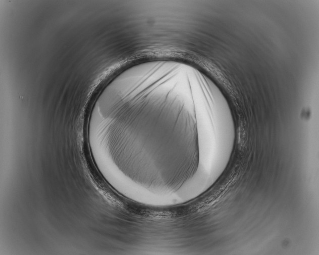 X0000098190438200805151209