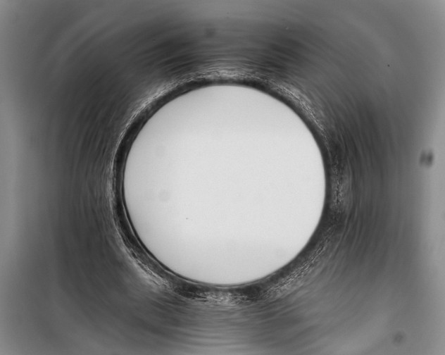 X0000098190439200805151209
