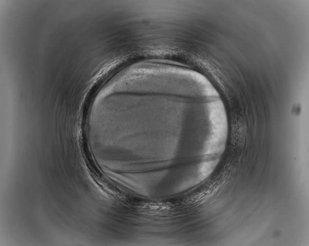 X0000098190443200805151209