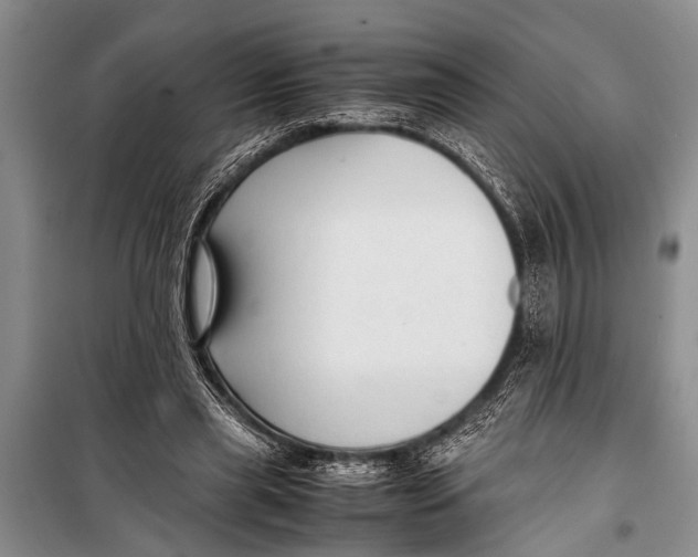 X0000098190445200805151209