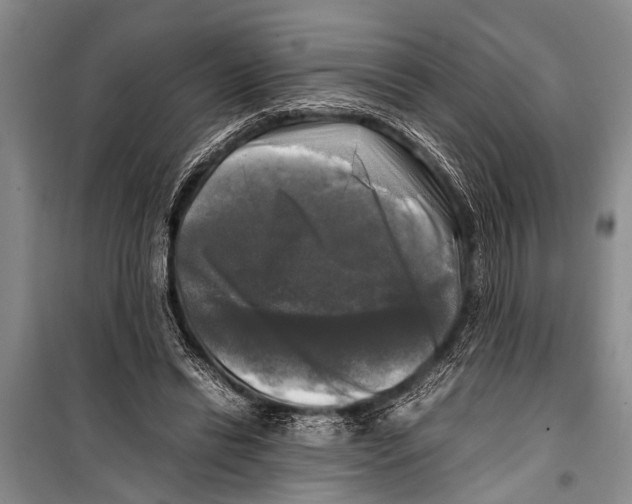 X0000098190446200805151209