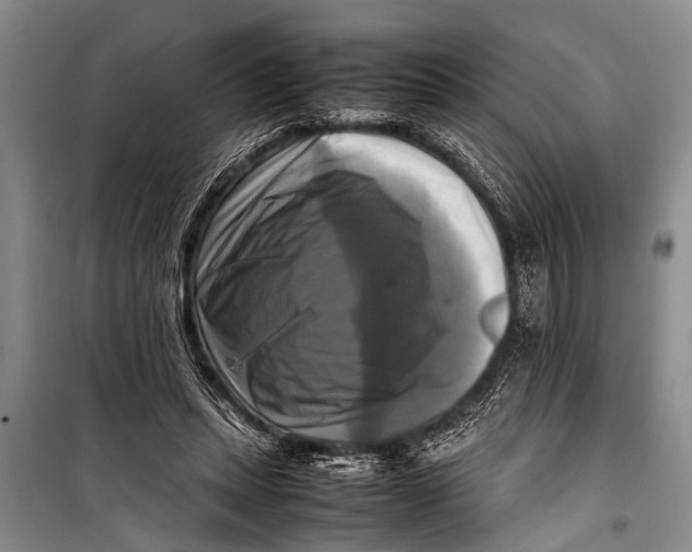 X0000098190447200805151209