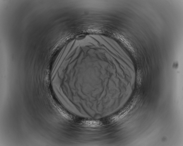 X0000098190449200805151209
