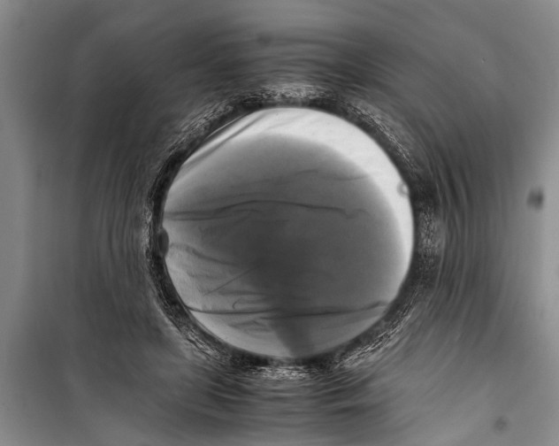 X0000098190451200805151209