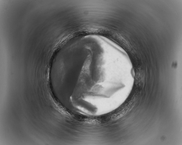 X0000098190454200805151209