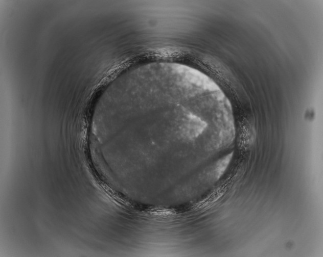 X0000098190456200805151209