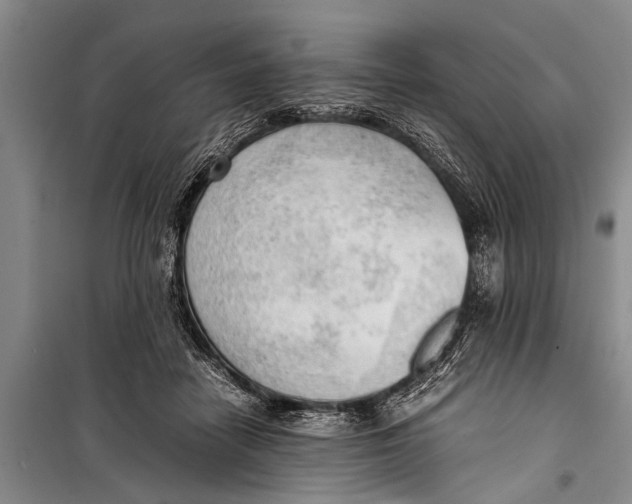 X0000098190458200805151209