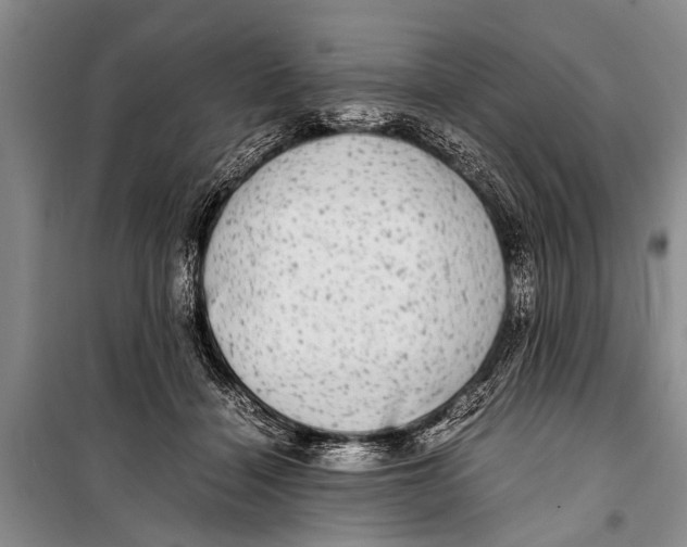 X0000098190460200805151209