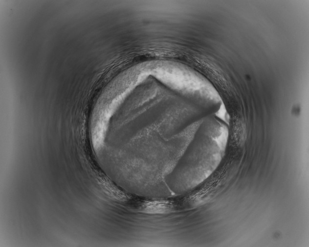 X0000098190461200805151209