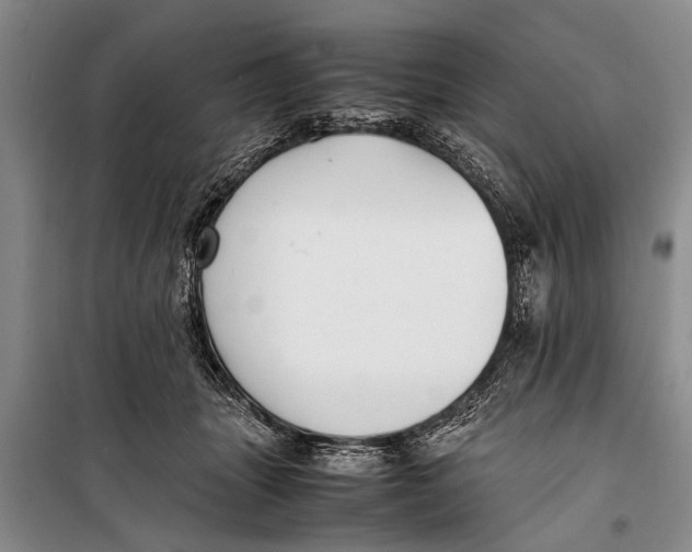 X0000098190463200805151209