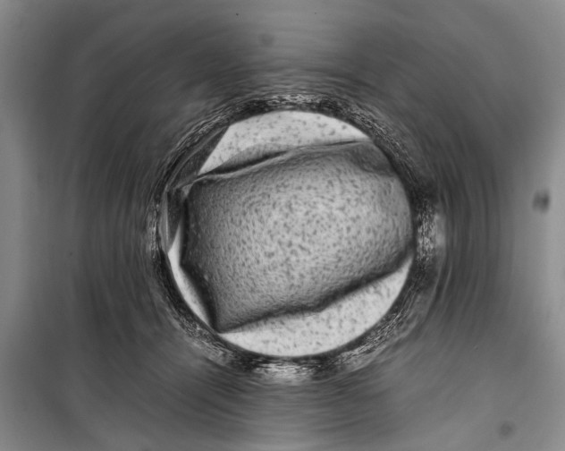 X0000098190464200805151209