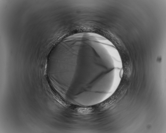 X0000098190465200805151209