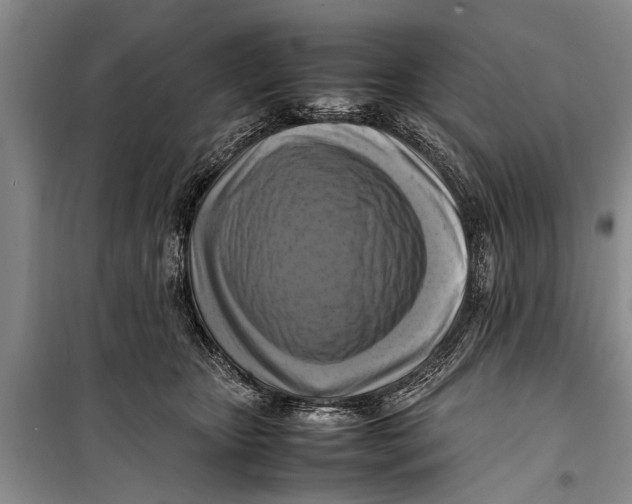 X0000098190467200805151209