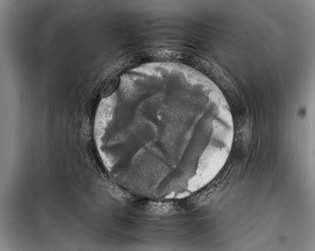 X0000098190469200805151209